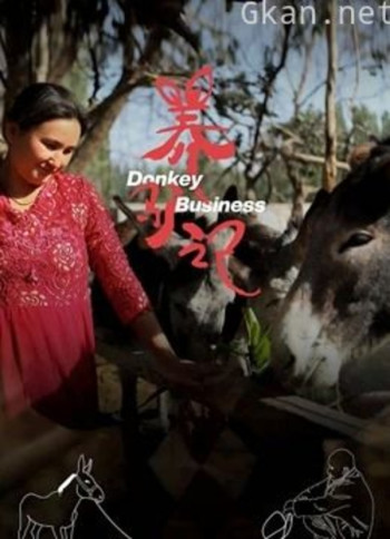 2021年新疆作品展——养驴记