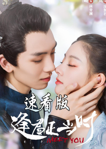 逢君正当时·速看版