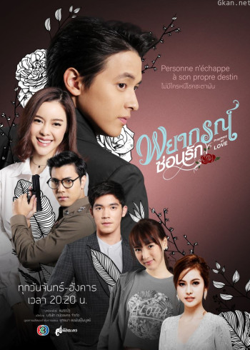 玫瑰奇缘恋与大明星[普通话版]