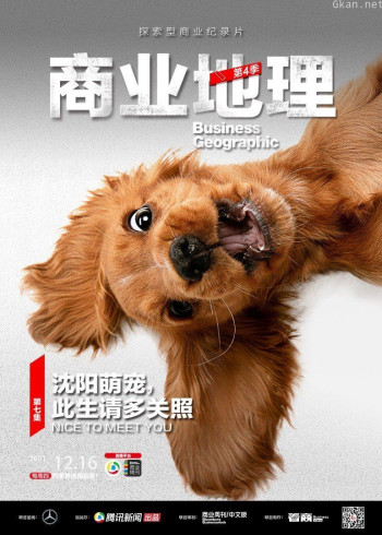 商业地理 第四季第7期：沈阳萌宠，此生请多关照