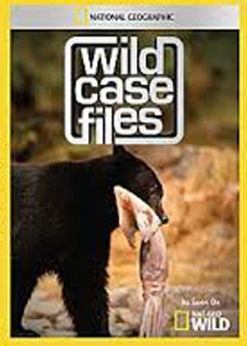 大自然神秘档案 第二季