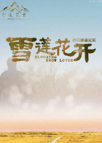 雪莲花开——对口援疆纪实