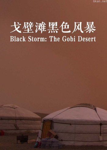 戈壁滩黑色风暴