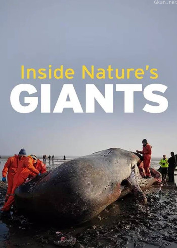 解剖巨型动物 第一季