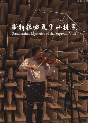 斯特拉迪瓦里小提琴