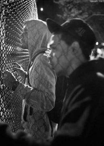 透视内幕：底特律黑帮