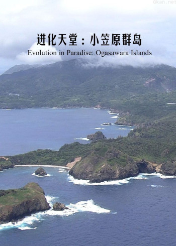 进化天堂:小笠原群岛