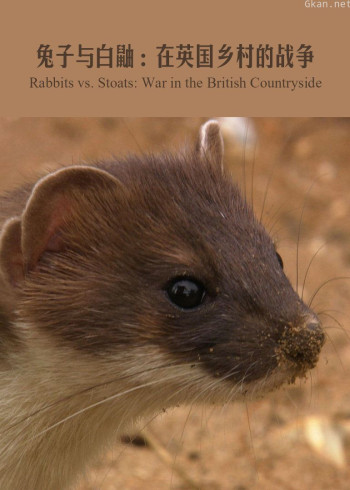 兔子与白鼬：在英国乡村的战争