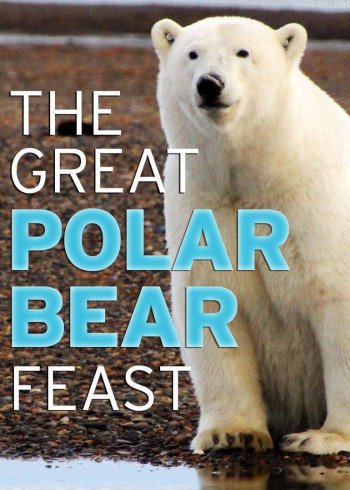 北极熊的盛宴