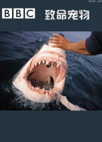 致命宠物 第四季