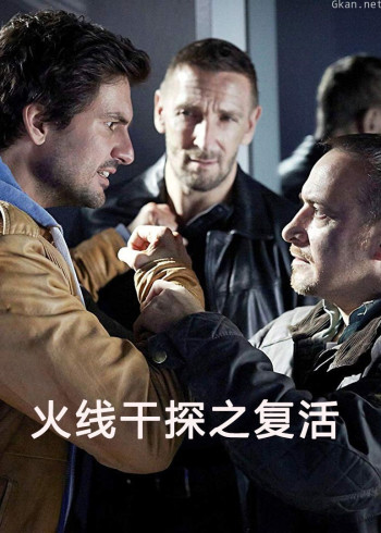 火线干探之复活