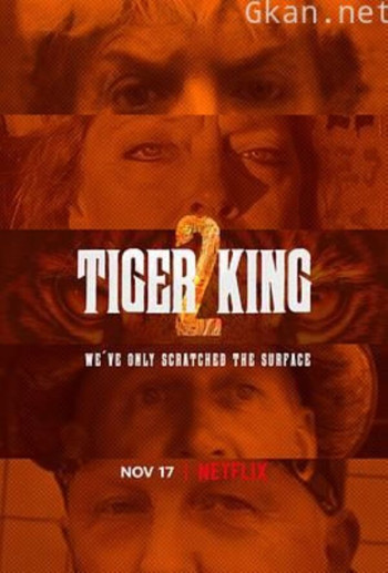 养虎为患 第二季