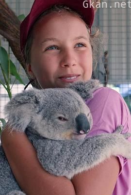 伊兹的考拉世界 第一季 Izzy's Koala World Season 1