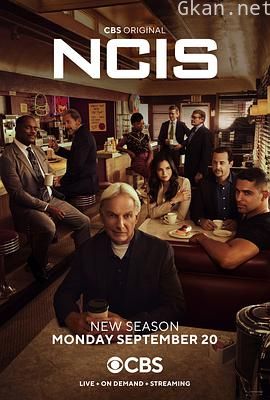 海军罪案调查处 第十九季