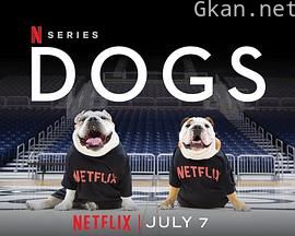 爱犬情深 第二季