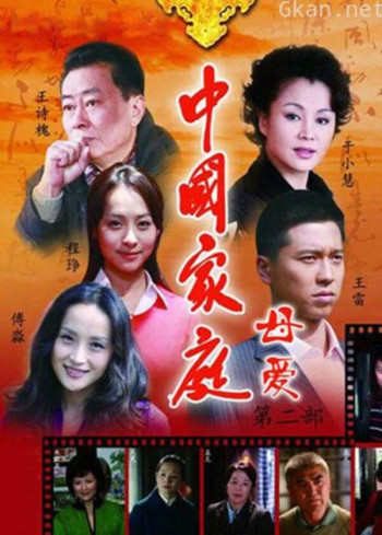中国家庭 第二部