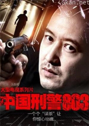 中国刑警803