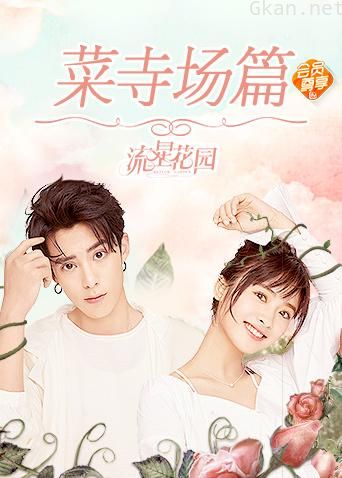 流星花园 菜寺场篇