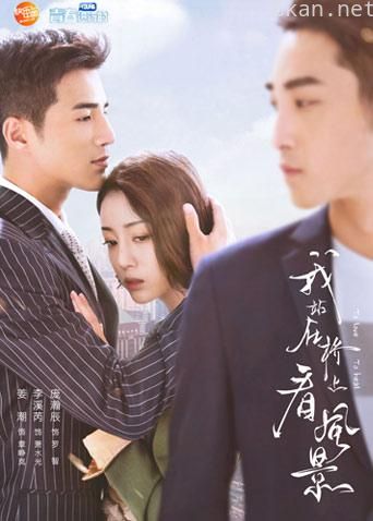 我站在桥上看风景 DVD版