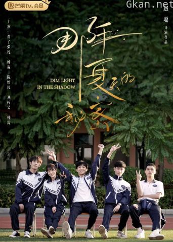 那年夏天的秘密