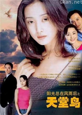 阳光总在风雨后之天堂鸟