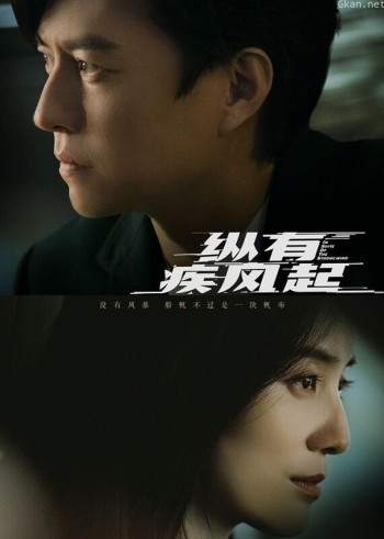 纵有疾风起