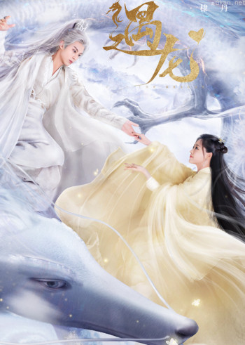 遇龙·撒糖合辑