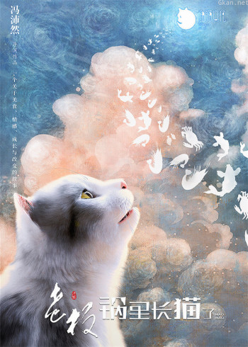 老板,锅里长猫了