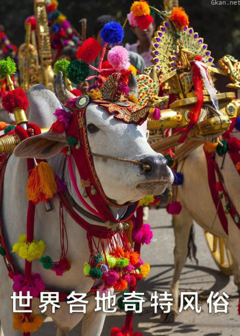 世界各地奇特风俗