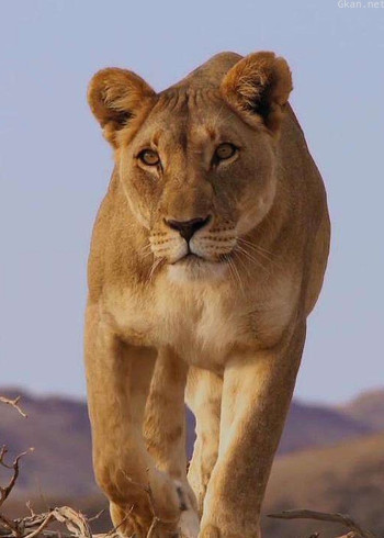 暑假片单!这些纪录片有趣补脑涨知识