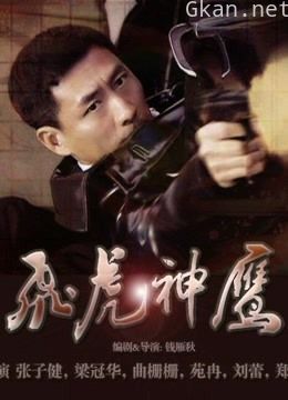 《飞虎神鹰》深度解析!