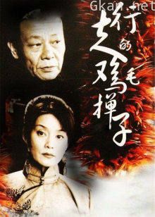 行走的鸡毛掸子