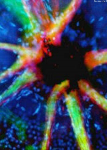 生命之旅:人体内部探险