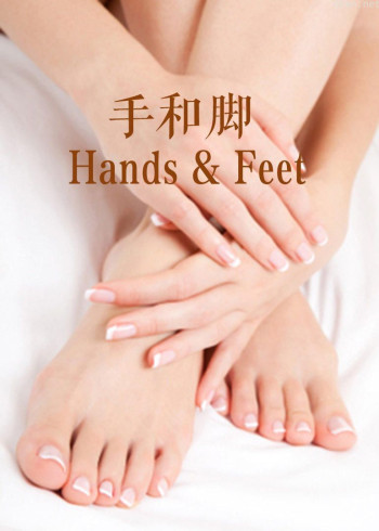 手和脚