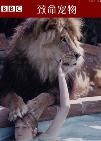 致命宠物 第三季