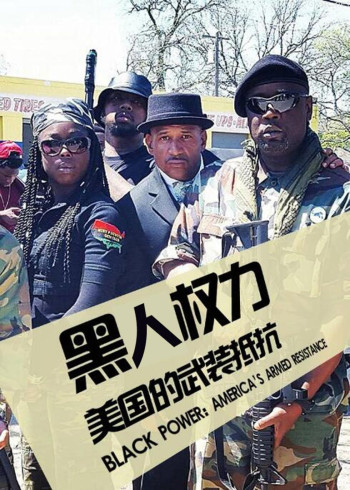 黑色权力：美国的武装抵抗
