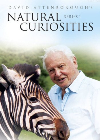 BBC大卫爱登堡的自然珍品