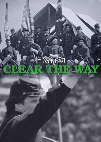 美国内战中的爱尔兰军旅