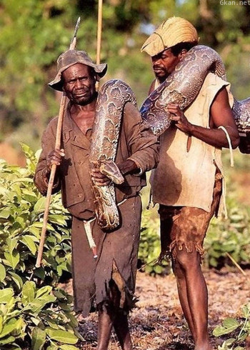 十大人兽PK瞬间