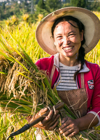 建设小康公益纪录片展播