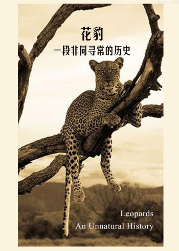 花豹:一段非同寻常的历史