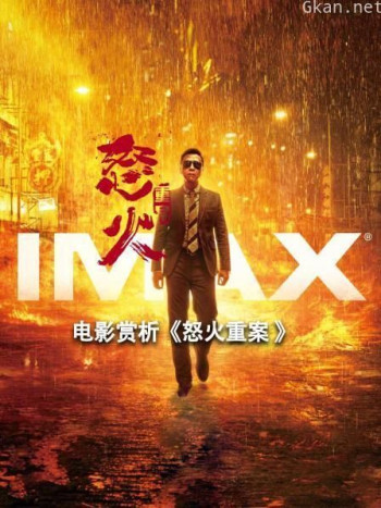 电影赏析《怒火重案》