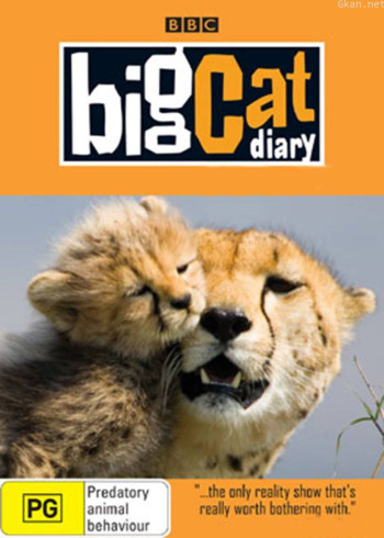 大猫日记:家族史之小猎豹杜马