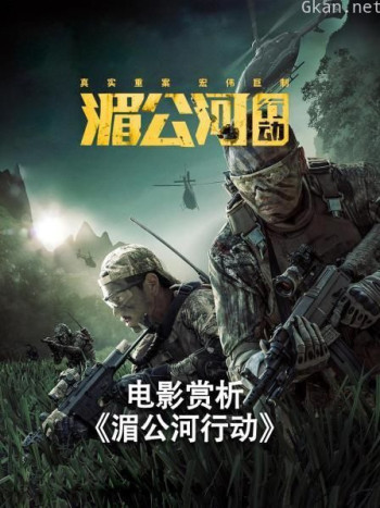 电影赏析《湄公河行动》