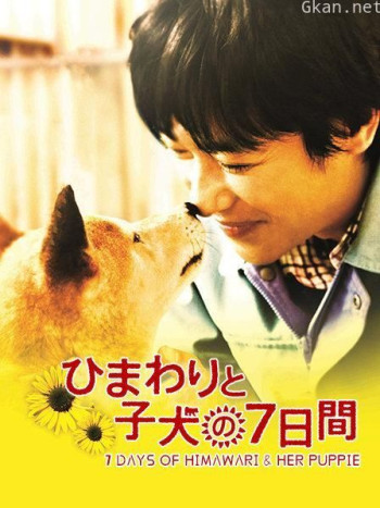 向日葵与幼犬的7天