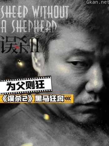 为父则狂：《误杀2》黑马狂奔