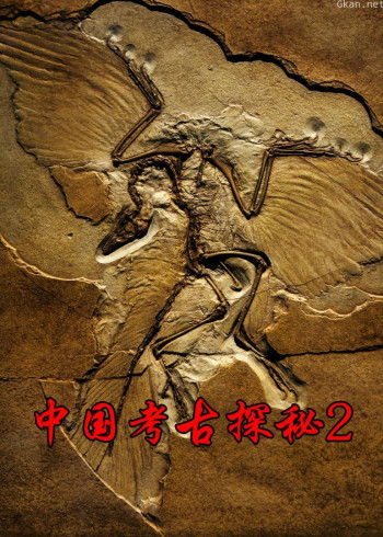 中国考古探秘 第二部