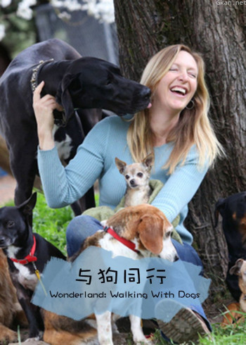 与狗同行