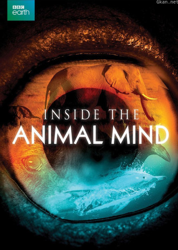 进入动物的思想