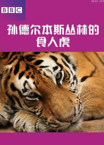 BBC孙德尔本斯丛林的食人虎